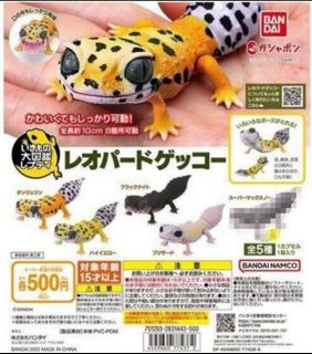 （分類：）位於 。 由 zoefung41 提交（商品編號 1460933382，圖片 1）。簡介： 。