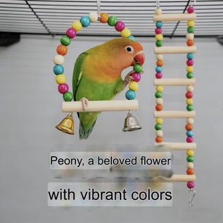All kind of stuff for bird lovers Collection item 2