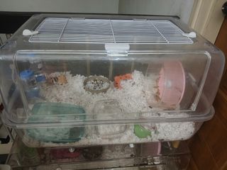 (Category: ) located in . Submitted by stonkhamster (Listing ID 1461100013, Image 1). Description: .
