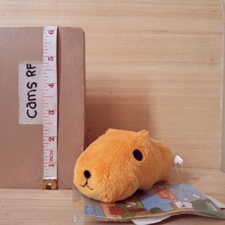 (Category: ) located in . Submitted by camsrf (Listing ID 1460996391, Image 1). Description: .