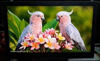 （分類：）位於 。 由 bb_gtou 提交（商品編號 1461113357，圖片 1）。簡介： 。