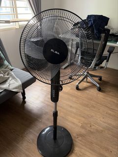 (Category: ) located in . Submitted by nununnabel (Listing ID 1460972626, Image 1). Description: .