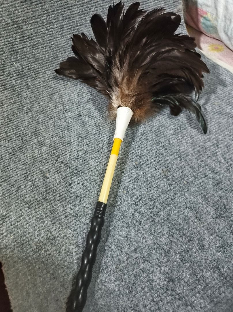 Feather Duster with Black Handle (Category: Dresses) located in San Leonardo. Submitted by burgossanleonardo.12345 (Listing ID 1461055704, Image 1). Description: - Fluffy dark brown feathers - Black handle with textured grip for comfortable holding - Yellow band accent near the top - Ideal for efficient home dusting - Easy to use and handle.