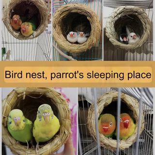 All kind of stuff for bird lovers Collection item 3