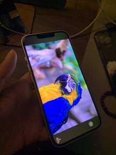 (Category: ) located in . Submitted by fl1234 (Listing ID 1461027755, Image 1). Description: .