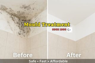 (Category: ) located in . Submitted by paintingera (Listing ID 1461113481, Image 1). Description: .
