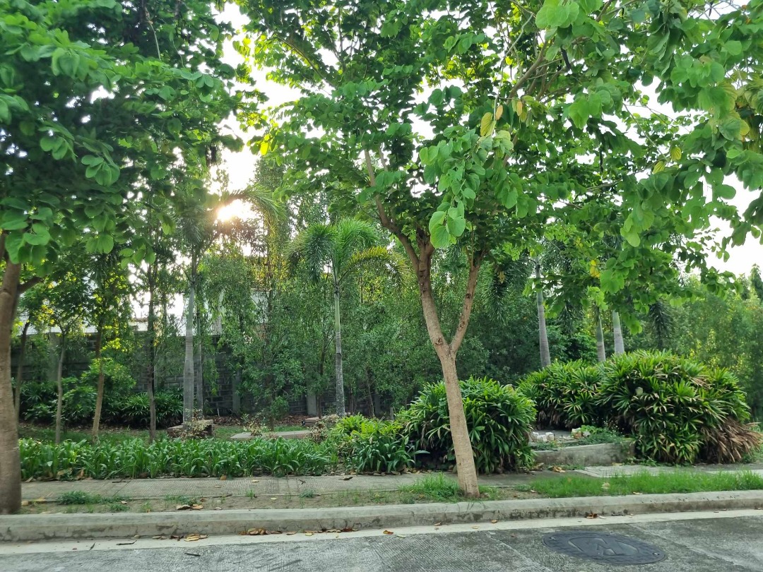 (Category: ) located in . Submitted by ms.dexie_bona (Listing ID 1460975107, Image 1). Description: .