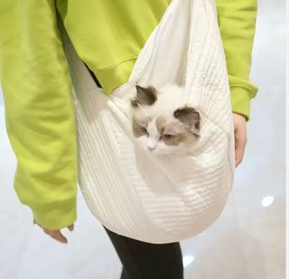 (Category: ) located in . Submitted by wepets.sg (Listing ID 1460952231, Image 1). Description: .