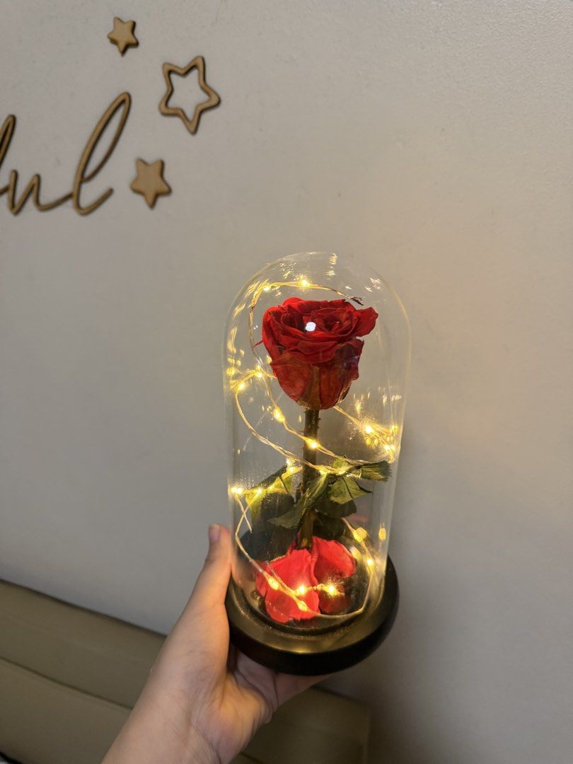 Preserved Rose Lamp (Category: Other Stationery & Craft) located in Valenzuela. Submitted by trinidad.edna (Listing ID 1460927197, Image 2). Description: Preserved rose lamp Still working Very pretty in actual No box.