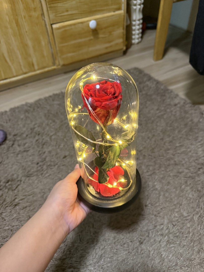 Preserved Rose Lamp (Category: Other Stationery & Craft) located in Valenzuela. Submitted by trinidad.edna (Listing ID 1460927197, Image 3). Description: Preserved rose lamp Still working Very pretty in actual No box.