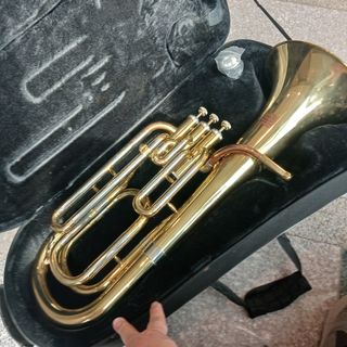 （分類：）位於 。 由 affordable_musical_instruments 提交（商品編號 1461037024，圖片 1）。簡介： 。
