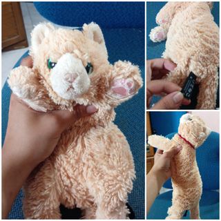 (Category: ) located in . Submitted by manikaisabelavarietyshop (Listing ID 1461273270, Image 1). Description: .