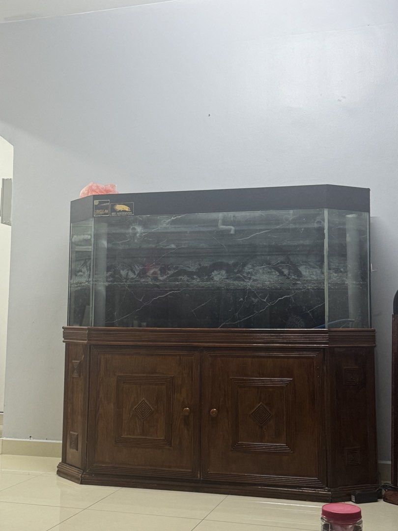 6ft Solid Aquarium (Category: Other Home Furniture) located in Kuala Lumpur. Submitted by ashiniy (Listing ID 1461234946, Image 1). Description: 6x2x2.5 12mm thickness glass Without sumptank Media/coral worth RM500 included Sunsun Eco Submersible Pump upto 200watt included..