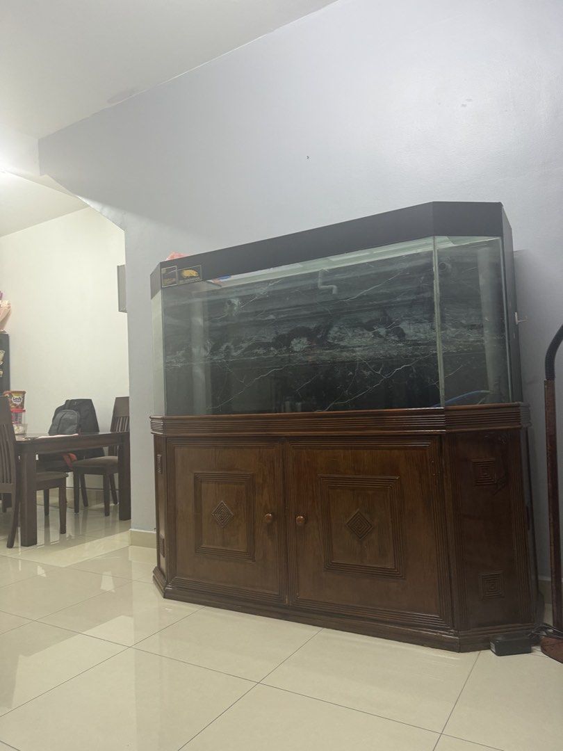 6ft Solid Aquarium (Category: Other Home Furniture) located in Kuala Lumpur. Submitted by ashiniy (Listing ID 1461234946, Image 2). Description: 6x2x2.5 12mm thickness glass Without sumptank Media/coral worth RM500 included Sunsun Eco Submersible Pump upto 200watt included..