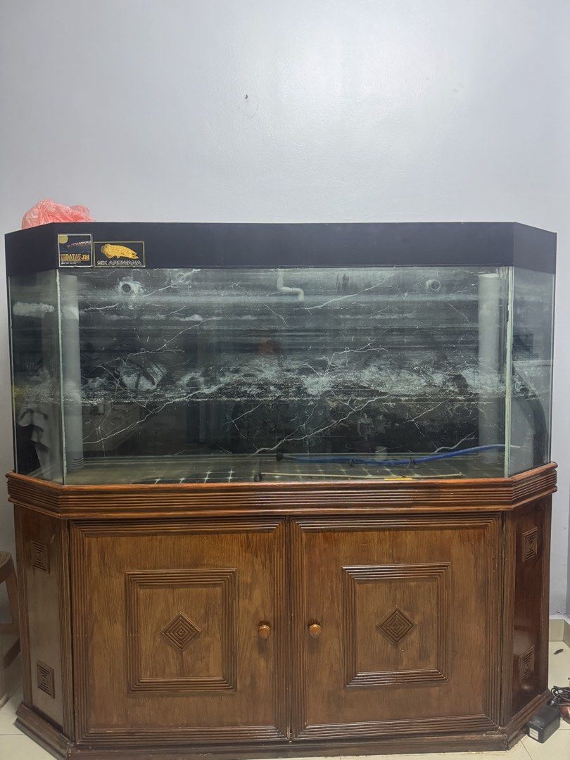 6ft Solid Aquarium (Category: Other Home Furniture) located in Kuala Lumpur. Submitted by ashiniy (Listing ID 1461234946, Image 3). Description: 6x2x2.5 12mm thickness glass Without sumptank Media/coral worth RM500 included Sunsun Eco Submersible Pump upto 200watt included..
