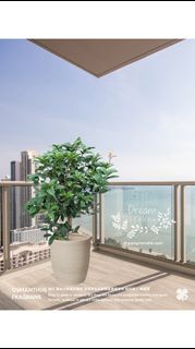（分類：）位於 。 由 dreamplants 提交（商品編號 1461227354，圖片 1）。簡介： 。