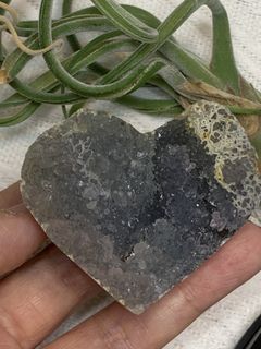 （分類：）位於 。 由 crystal_tree_99 提交（商品編號 1461125337，圖片 1）。簡介： 。