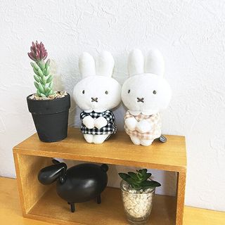 （分類：）位於 。 由 manyiyi 提交（商品編號 1461128343，圖片 1）。簡介： 。