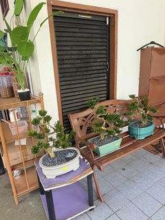 (Category: ) located in . Submitted by abdul_haqim (Listing ID 1461198960, Image 1). Description: .