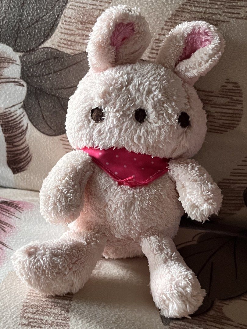 Bunny pink w pink scarf plush (Category: Plushies & Soft Toys) located in Paranaque City. Submitted by bonsaiart (Listing ID 1461214699, Image 1). Description: Pre owned Good condition 100(fixed) +sf Payment via GCASH or paymaya No to meetup No to cop / cod Shipping via j&t only.