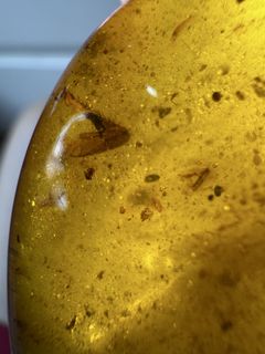 (Category: ) located in . Submitted by luxeauragems (Listing ID 1460938304, Image 1). Description: .