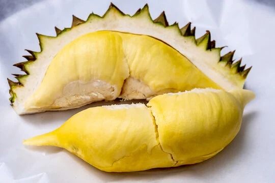 Durian (Mothong variety) (Category: Plants & Seeds) located in Los Banos. Submitted by seaalionn (Listing ID 1461167975, Image 2). Description: most important and famous durian variety of Thailand. It literally means "golden pillow" in Thai. Fruits are large, elongated, oval-cylindrical and tapering at the stylar end. The large fruit has a pronounced beak, lobed, yellowish-brown each weighing about 2-6 kg. Grafted -php350 Matured -php1,5k.