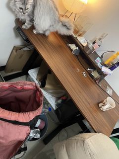 (Category: ) located in . Submitted by magnuscastle (Listing ID 1461225324, Image 1). Description: .