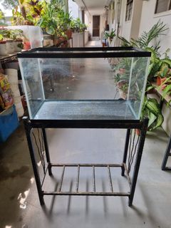 (Category: ) located in . Submitted by petstyle888 (Listing ID 1461196253, Image 1). Description: .