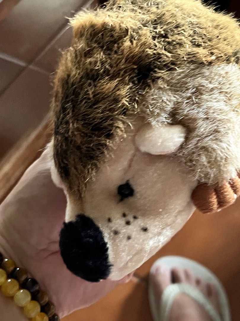 Hedgehog dark brown plush (Category: Plushies & Soft Toys) located in Paranaque City. Submitted by bonsaiart (Listing ID 1461132241, Image 2). Description: Pre owned Good condition 180+sf Payment via GCASH or paymaya No to meetup No to cop / cod Shipping via j&t only No breaking of set or bundle.