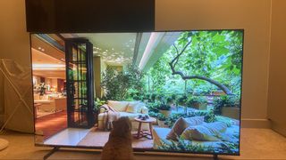 (Category: ) located in . Submitted by yon00 (Listing ID 1461291796, Image 1). Description: .