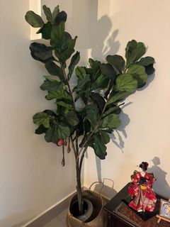 (Category: ) located in . Submitted by epictree_14d223 (Listing ID 1461196025, Image 1). Description: .