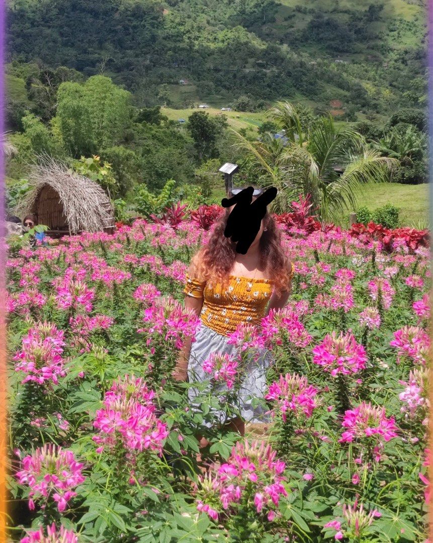 Mustard Yellow Smocked Floral Crop Top (Category: Blouses) located in Cainta. Submitted by declutteringprelovedbyzelle (Listing ID 1461246292, Image 2). Description: .