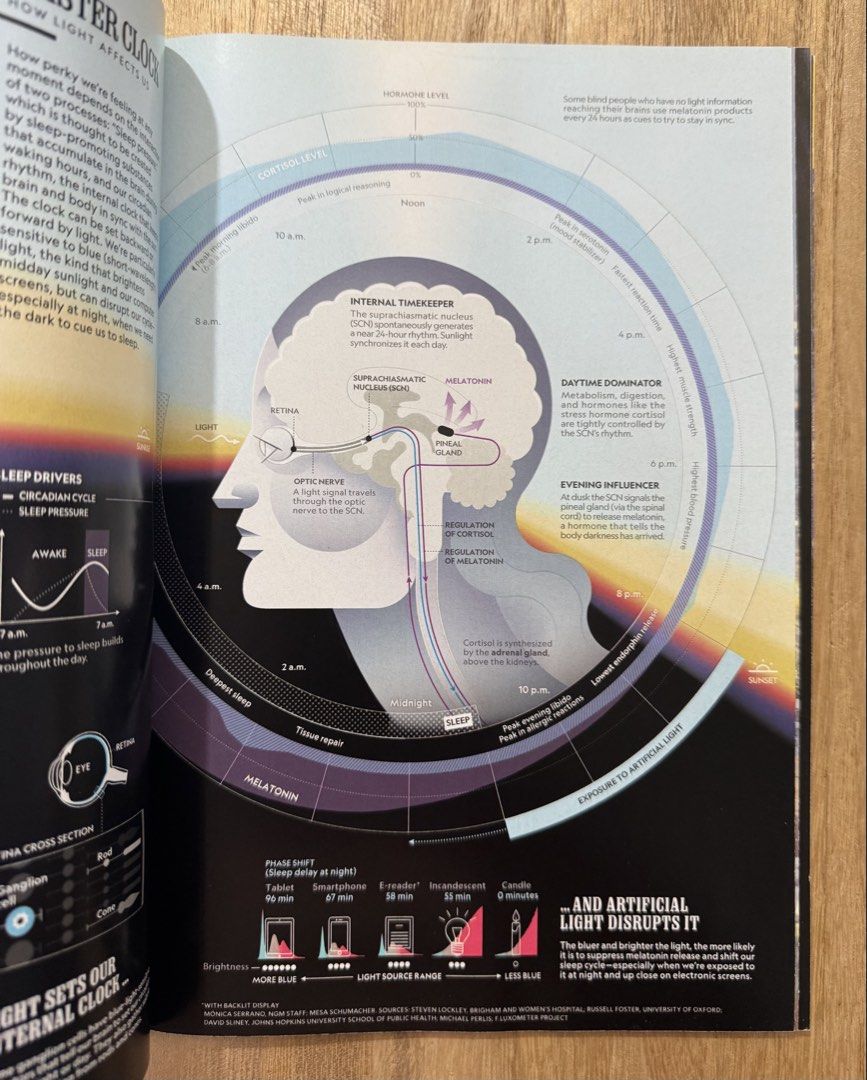 National Geographic Magazine - August 2018 Issue (Category: Magazines) located in San Pedro. Submitted by pageturner19 (Listing ID 1461144462, Image 3). Description: - August 2018 issue of National Geographic magazine - Cover story: The Science of Sleep - Additional articles on: Endangered Birds, Online Behavior, Exotic Butterflies - Ideal for readers interested in science and nature.