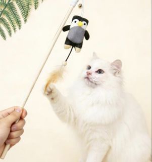 (Category: ) located in . Submitted by pets.r.us.manila (Listing ID 1461291075, Image 1). Description: .