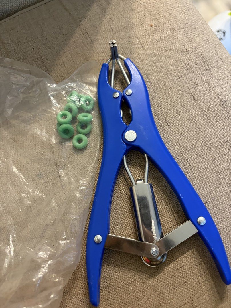 Pig / dog tail castration docktail tools (Category: Construction Tools & Equipment) located in Manila. Submitted by chandleria (Listing ID 1461167589, Image 1). Description: docktailing tool for pigs and dog with 10pcs rubber set.