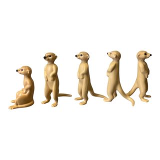 （分類：）位於 。 由 Fat_Fat_Home 提交（商品編號 1461189529，圖片 1）。簡介： 。