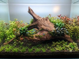 (Category: ) located in . Submitted by elmohi5 (Listing ID 1461222758, Image 1). Description: .