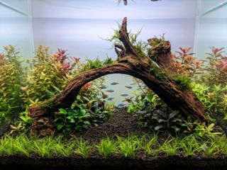 (Category: ) located in . Submitted by elmohi5 (Listing ID 1461224119, Image 1). Description: .