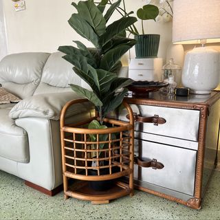 (Category: ) located in . Submitted by organic_chestnuts (Listing ID 1458752377, Image 1). Description: .