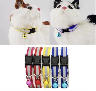 (Category: ) located in . Submitted by calico.pets (Listing ID 1461215809, Image 1). Description: .