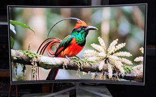 （分類：）位於 。 由 bb_gtou 提交（商品編號 1461184305，圖片 1）。簡介： 。