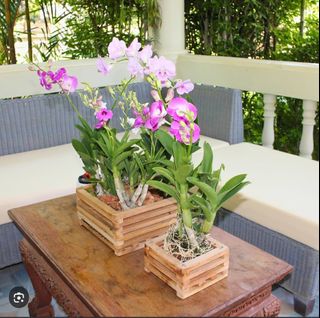 (Category: ) located in . Submitted by ideclutterbarang (Listing ID 1461180688, Image 1). Description: .