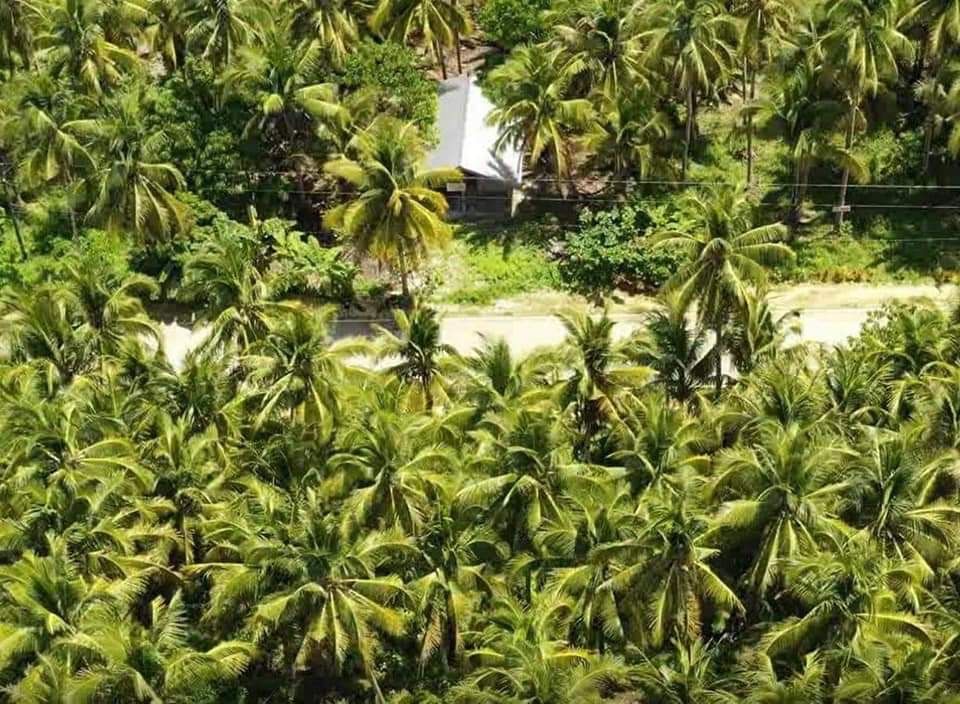 Siargao land (Category: Lot) located in Caloocan City. Submitted by jenlove411 (Listing ID 1461189437, Image 1). Description: Prime Roadside Property for Sale in Pacifico Siargao Island Own a great investment property in one of the fastest growing areas in Siargao Island located in beautiful Pacifico, known for its surfing spots, peaceful beaches, and rising tourism potential. Near the upcoming international airport development. Property Highligh