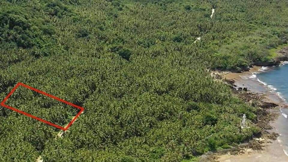 Siargao land (Category: Lot) located in Caloocan City. Submitted by jenlove411 (Listing ID 1461189437, Image 2). Description: Prime Roadside Property for Sale in Pacifico Siargao Island Own a great investment property in one of the fastest growing areas in Siargao Island located in beautiful Pacifico, known for its surfing spots, peaceful beaches, and rising tourism potential. Near the upcoming international airport development. Property Highligh