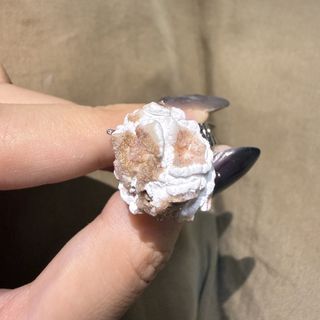 (Category: ) located in . Submitted by safestone233 (Listing ID 1461292809, Image 1). Description: .