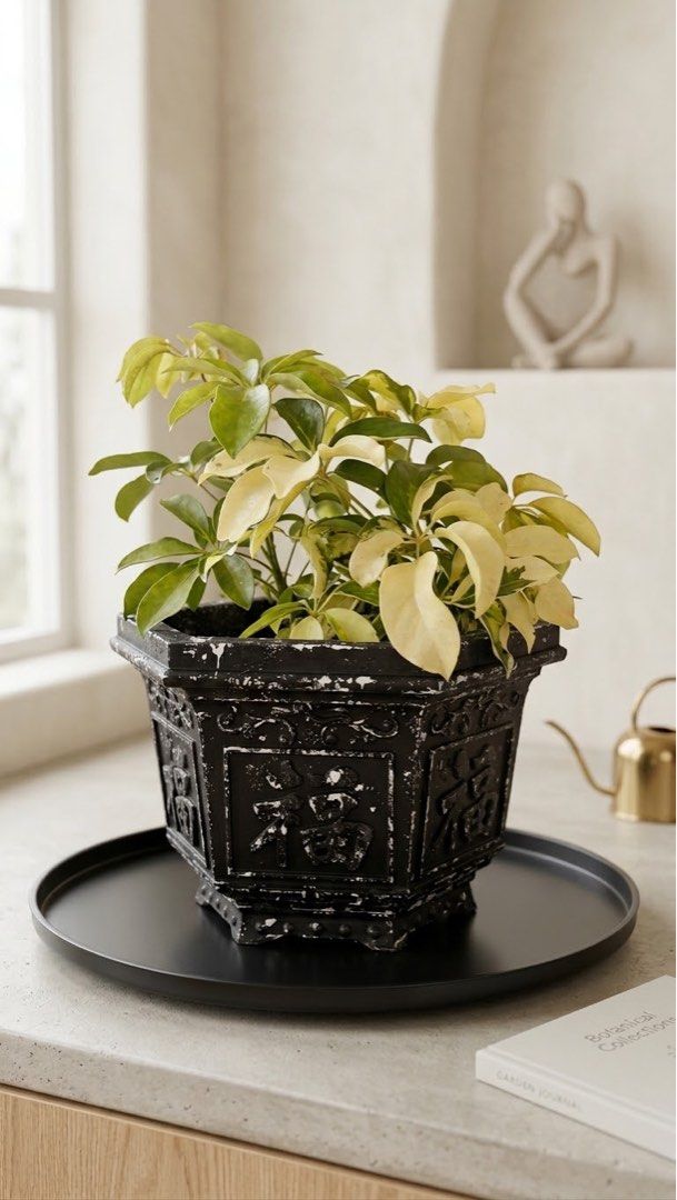 Vintage Style Hexagonal Planter Pot (Category: Pots & Planters) located in Makati City. Submitted by giftidea123 (Listing ID 1461285465, Image 1). Description: - Unique hexagonal planter pot - Vintage, distressed black finish - Intricate embossed designs - Adds character to home or garden - Suitable for indoor or outdoor use - [Insert size if known].