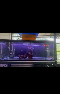 (Category: ) located in . Submitted by goh32517 (Listing ID 1459401939, Image 1). Description: .