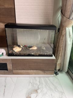 (Category: ) located in . Submitted by astro2 (Listing ID 1461352629, Image 1). Description: .