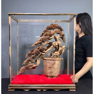 由 fafay (刊登 ID 1461514327，圖片 1) 提交，位於 的 (類別：)，說明：。