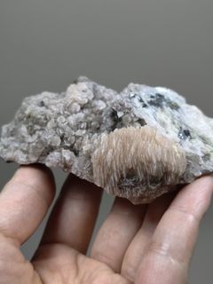 （分類：）位於 。 由 biubiu321 提交（商品編號 1461529922，圖片 1）。簡介： 。
